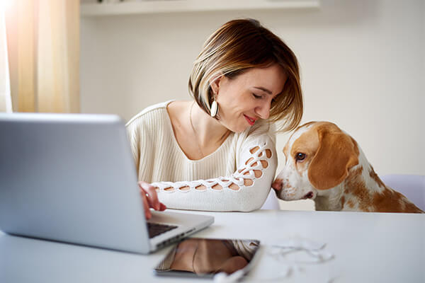 Business woman playing with dog in home office