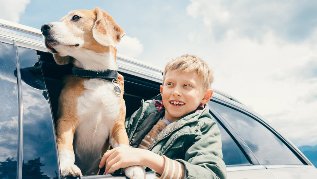 Happy Boy and Dog Sticking out of Car Window
