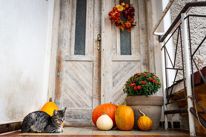 A small Autumn display of gourds on a front porch creates a welcoming vibe.