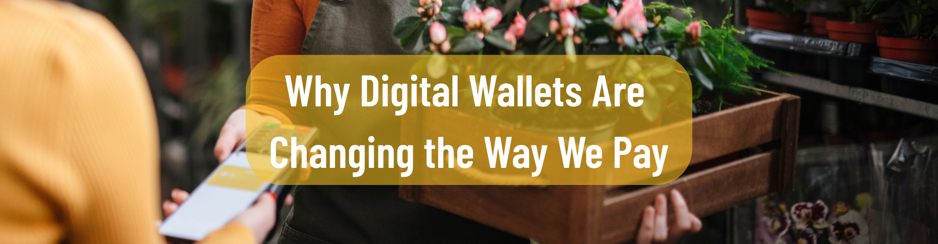 Digital Wallet Header Image
